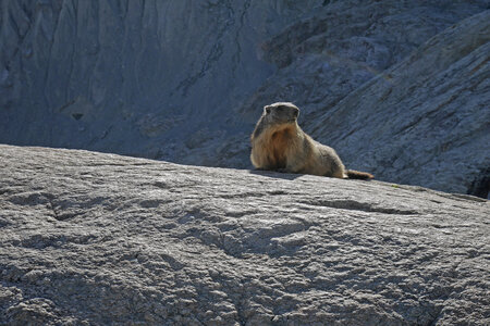2021-08-25-30-trilogie-du-glacier-blanc, alpes-aventure-alpinisme-aiguille-pierre-estienne-pdb-2021-08-27-68