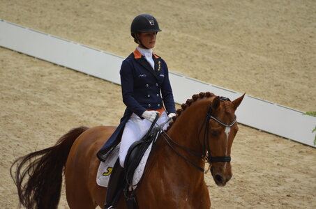 Dressage Lyon, DSC_3176