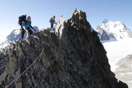 2021-08-25-30-trilogie-du-glacier-blanc, alpes-aventure-alpinisme-arete-sud-pic-du-glacier-blanc-2021-08-28-23