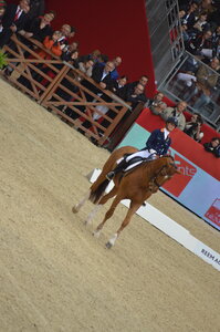Dressage Lyon, DSC_3181