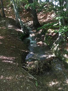 Boucle des Gorges, IMG_1345