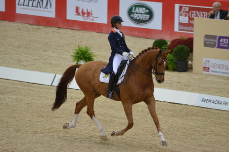 Dressage Lyon, DSC_3184