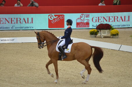 Dressage Lyon, DSC_3194