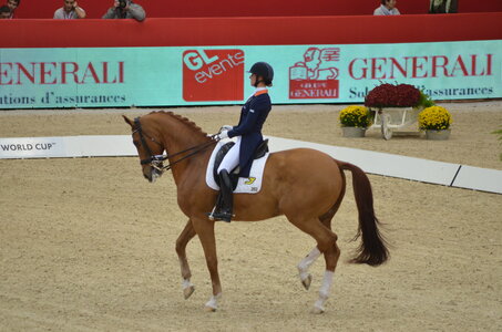 Dressage Lyon, DSC_3195