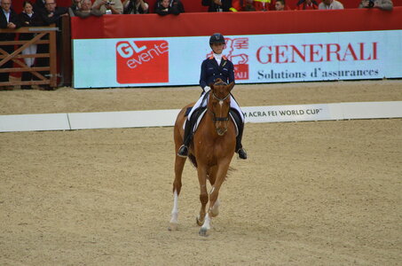 Dressage Lyon, DSC_3197