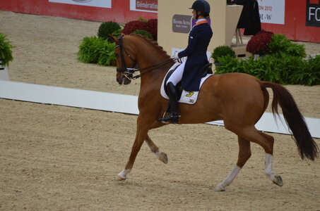 Dressage Lyon, DSC_3201