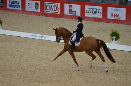 Dressage Lyon, DSC_3202
