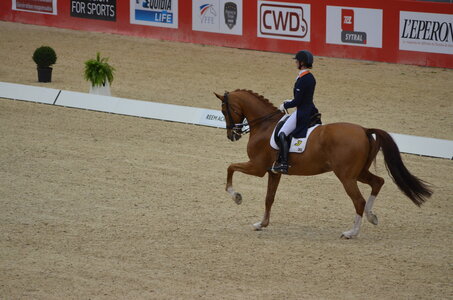 Dressage Lyon, DSC_3203