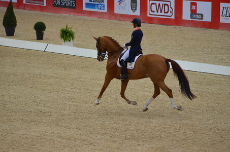 Dressage Lyon, DSC_3204