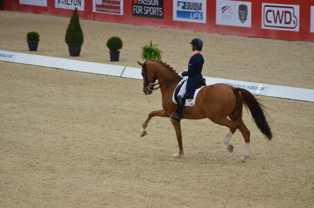Dressage Lyon, DSC_3205