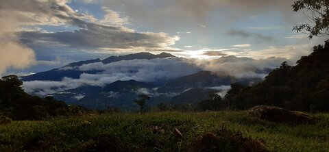Panama, 20210817_181454