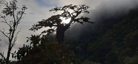 Panama, 20210817_180534