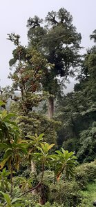 Panama, 20210817_175747