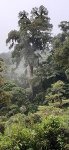 Panama, 20210817_175559