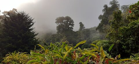 Panama, 20210817_175412