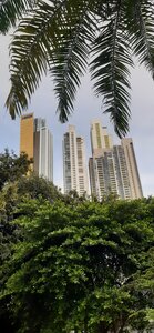 Panama, 20210811_164103