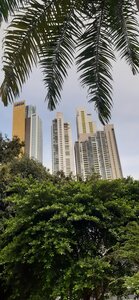 Panama, 20210811_164105