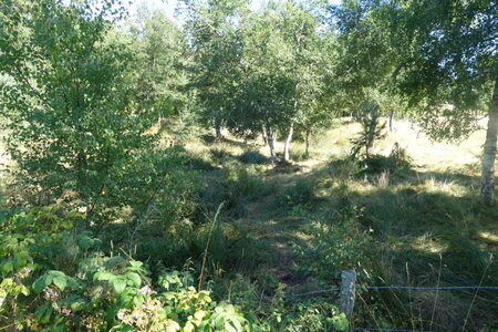 Ancienne mine d'uranium des Pierres Plantées, Grandrieu (48) - Photographies CRIIRAD - 28 août 2021, Pierres_Plantées0010