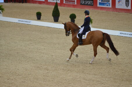 Dressage Lyon, DSC_3206