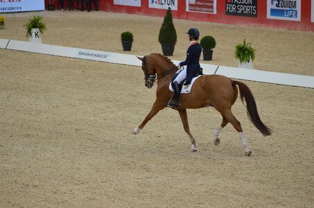 Dressage Lyon, DSC_3207