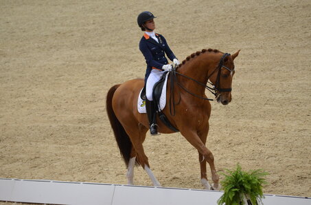 Dressage Lyon, DSC_3209