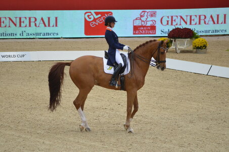 Dressage Lyon, DSC_3212