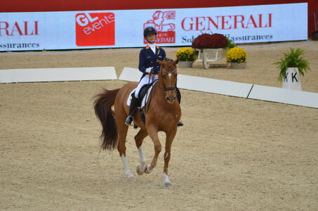 Dressage Lyon, DSC_3214