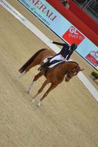 Dressage Lyon, DSC_3217
