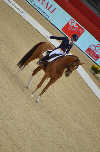 Dressage Lyon, DSC_3218