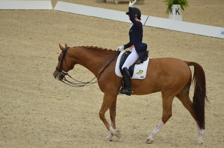 Dressage Lyon, DSC_3226