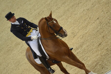 Dressage Lyon, DSC_3236