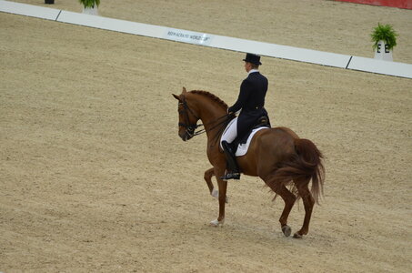 Dressage Lyon, DSC_3239