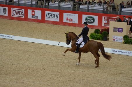 Dressage Lyon, DSC_3240