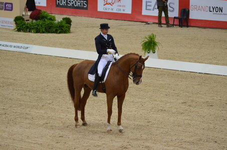 Dressage Lyon, DSC_3241