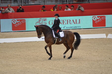 Dressage Lyon, DSC_3249