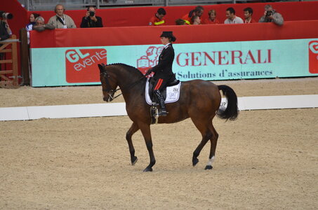 Dressage Lyon, DSC_3250