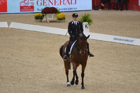Dressage Lyon, DSC_3251