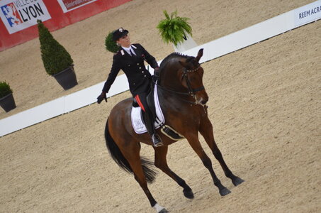 Dressage Lyon, DSC_3254