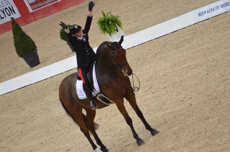 Dressage Lyon, DSC_3256