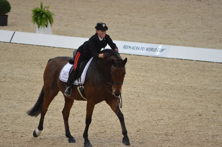 Dressage Lyon, DSC_3260