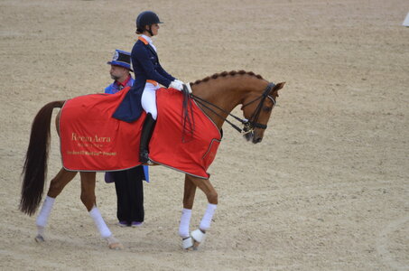 Dressage Lyon, DSC_3271