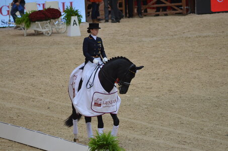Dressage Lyon, DSC_3273