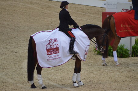 Dressage Lyon, DSC_3276