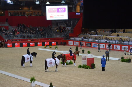 Dressage Lyon, DSC_3278