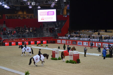 Dressage Lyon, DSC_3280