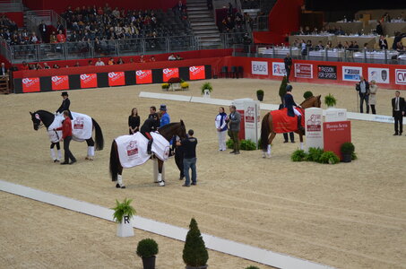 Dressage Lyon, DSC_3283