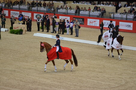 Dressage Lyon, DSC_3290