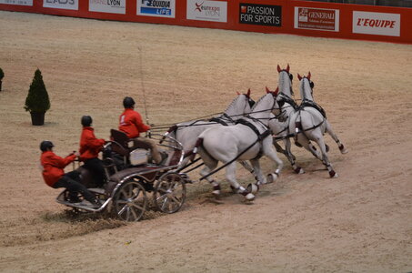 Dressage Lyon, DSC_3298