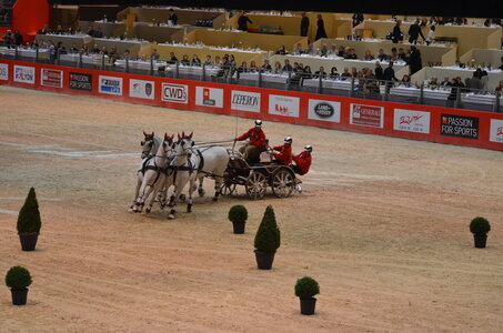 Dressage Lyon, DSC_3299