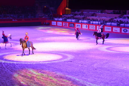 Dressage Lyon, DSC_3304